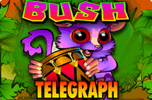 bush telegraph slot online