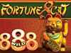 fortune 8 cat