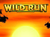wild run slot