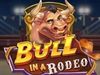 Bull in a Rodeo