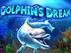 Dolphins Dream