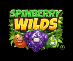 slot Spinberry Wilds