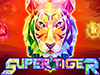 Super Tiger slot