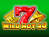 Wild Hot 40