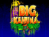 big kahuna slot