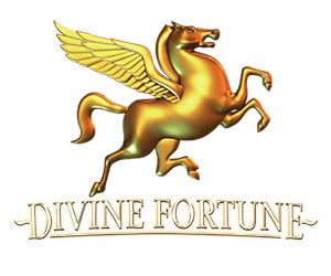 divine fortune slot