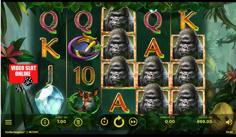 gorilla kingdom bonus