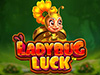 Ladybug Luck