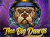 The Big Dawgs