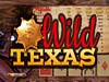 WildTexas Video Poker