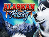 alaskan-husky slot