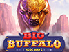 bigbuffalo