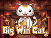 bigwin-cat-slot