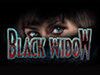 blackwidow slot