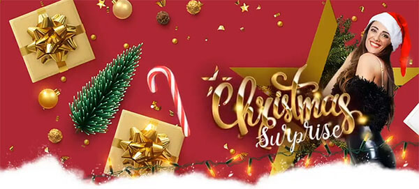 christmas surprise