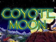 coyotemoon slot