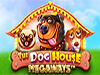 dog house nuova slot