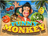 funny monkey
