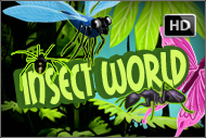 insectworldslot