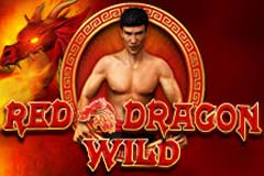 red-dragon-wild