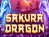 sakura dragons