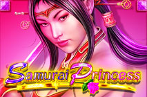 samurai princess slot machine online