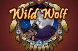 slot machine on line wild wolf