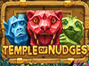 temple of nudges