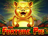 the fortune pig