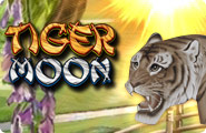 tigermoon