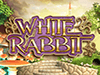 white rabbit slotmachine